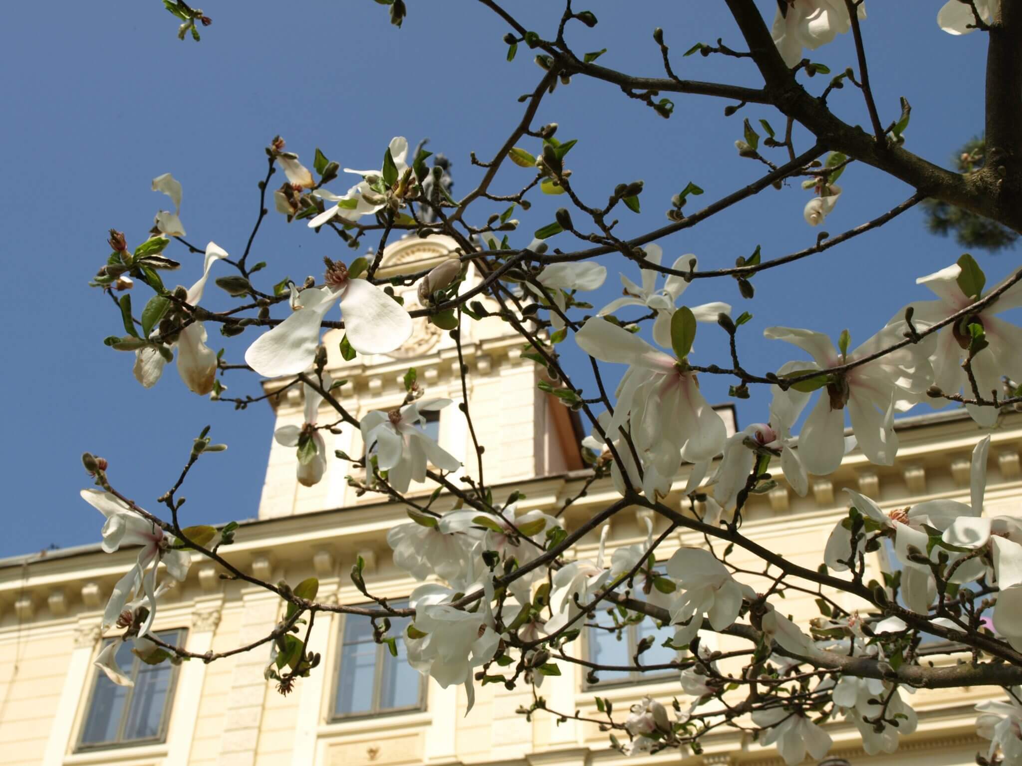 Schloss Puchberg — 04-Titelbild.jpg-scaled.jpg