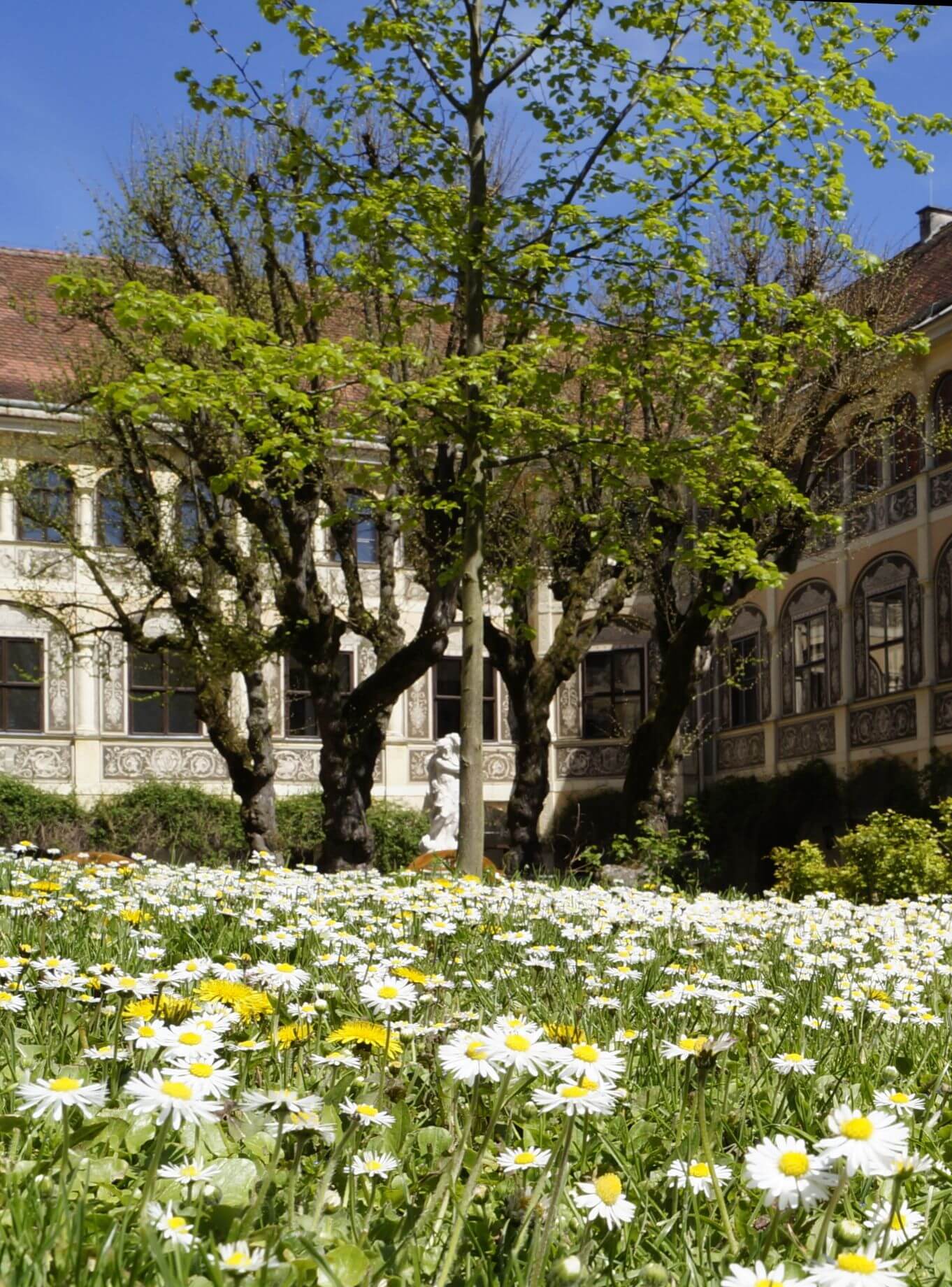 Schloss Puchberg — 04-April2.jpg