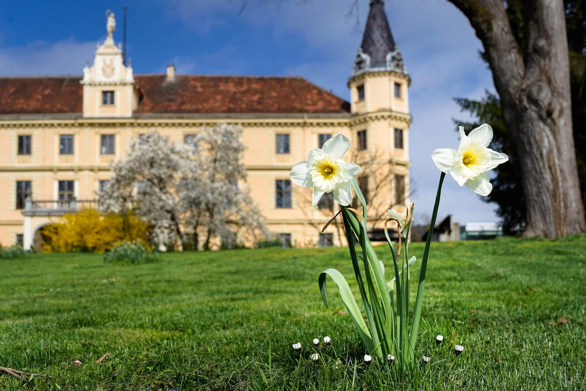 Schloss Puchberg — 03-Maerz-Neubeginn-scaled.jpg