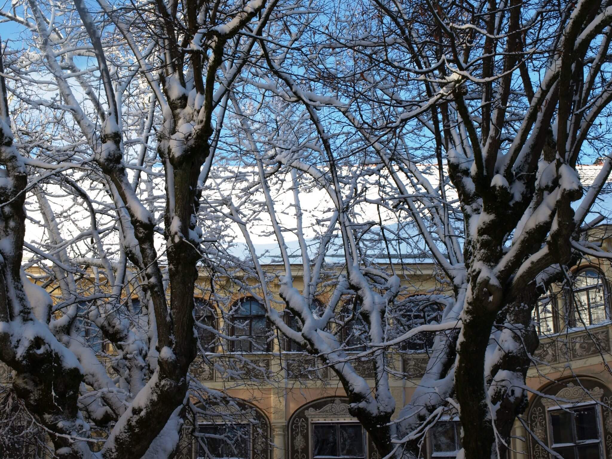 Schloss Puchberg — 01-PC101011-scaled.jpg